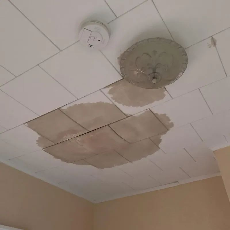 Ceiling Water Damage Repair in South Charleston, WV