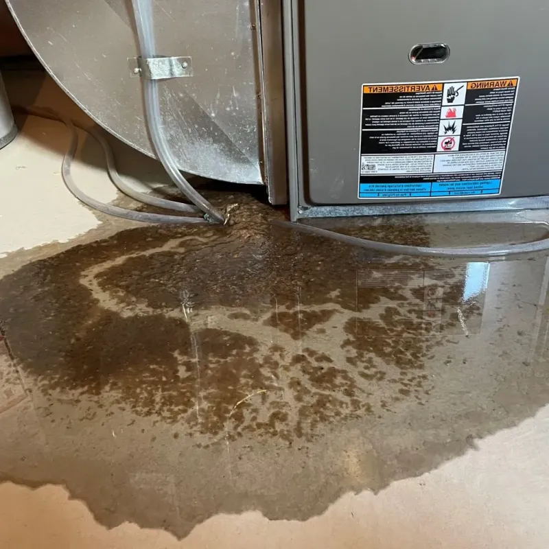 Pipe Burst and Leak Restoration in South Charleston, WV